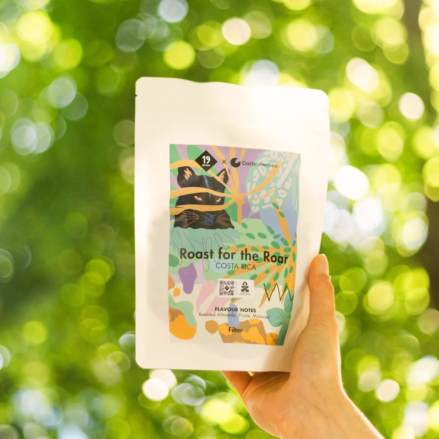 19grams Roast for the Roar Filter in der Hand präsentiert