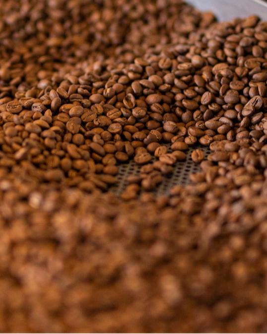 Kaffeebohnen in Röster