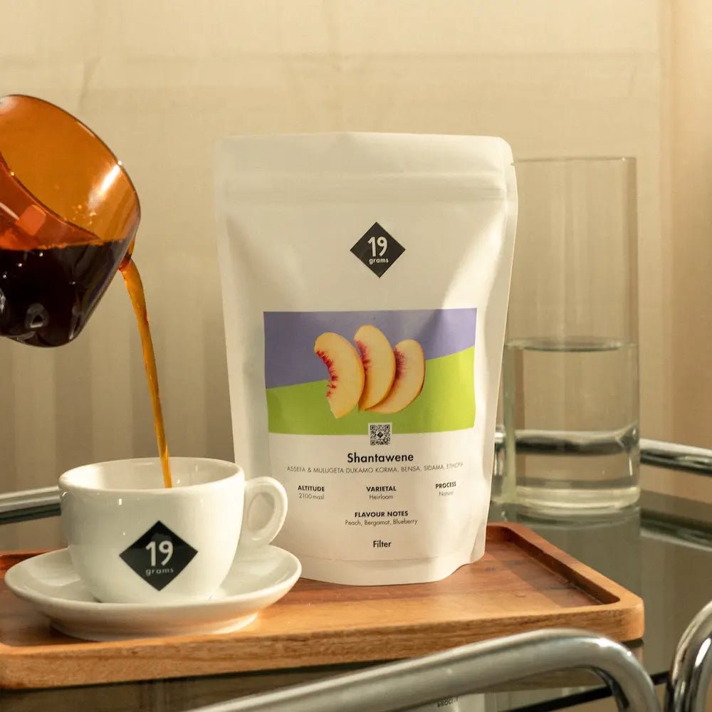 19grams Shantawene Natural Äthiopien Filterkaffee - Pour Over Zubereitung mit Kupferkanne und 19grams Tasse