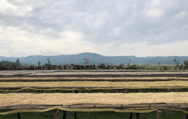 Telila Waschstation mit Horizont