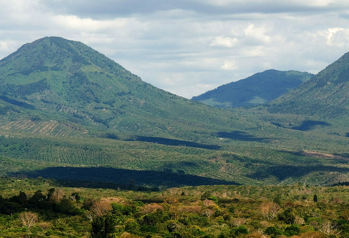 El Salvador Birdview