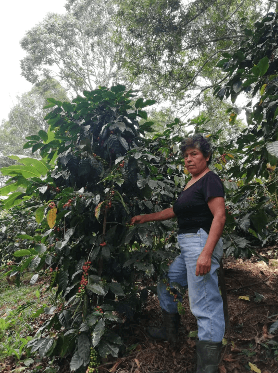 Farmerin auf der Villa Aurora