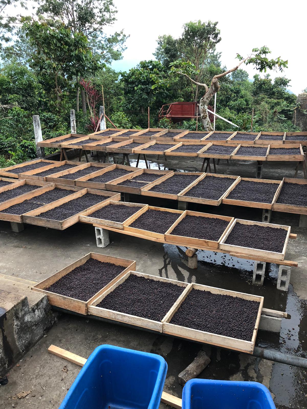 19grams Finca Muxbal – Mexiko
