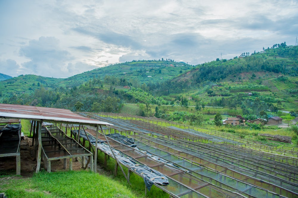 Die Ngorero Farm