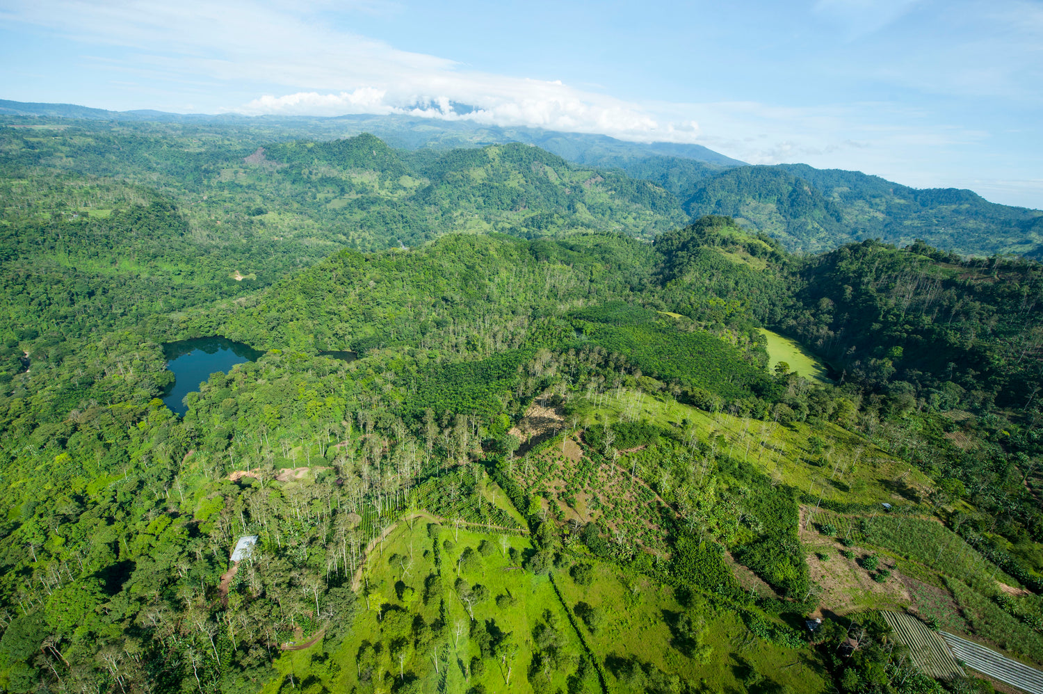 Terrioria Jade von oben