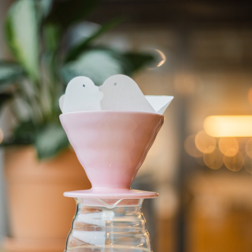 19grams Hario V60 Papierfilter - Farbe Liebestauben