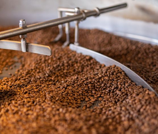 Freshly roasted beans from 19grams