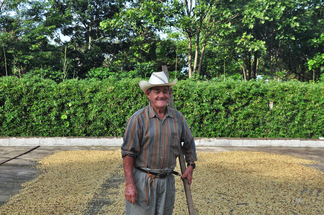 Vom Labor ins Hochland von Costa Rica