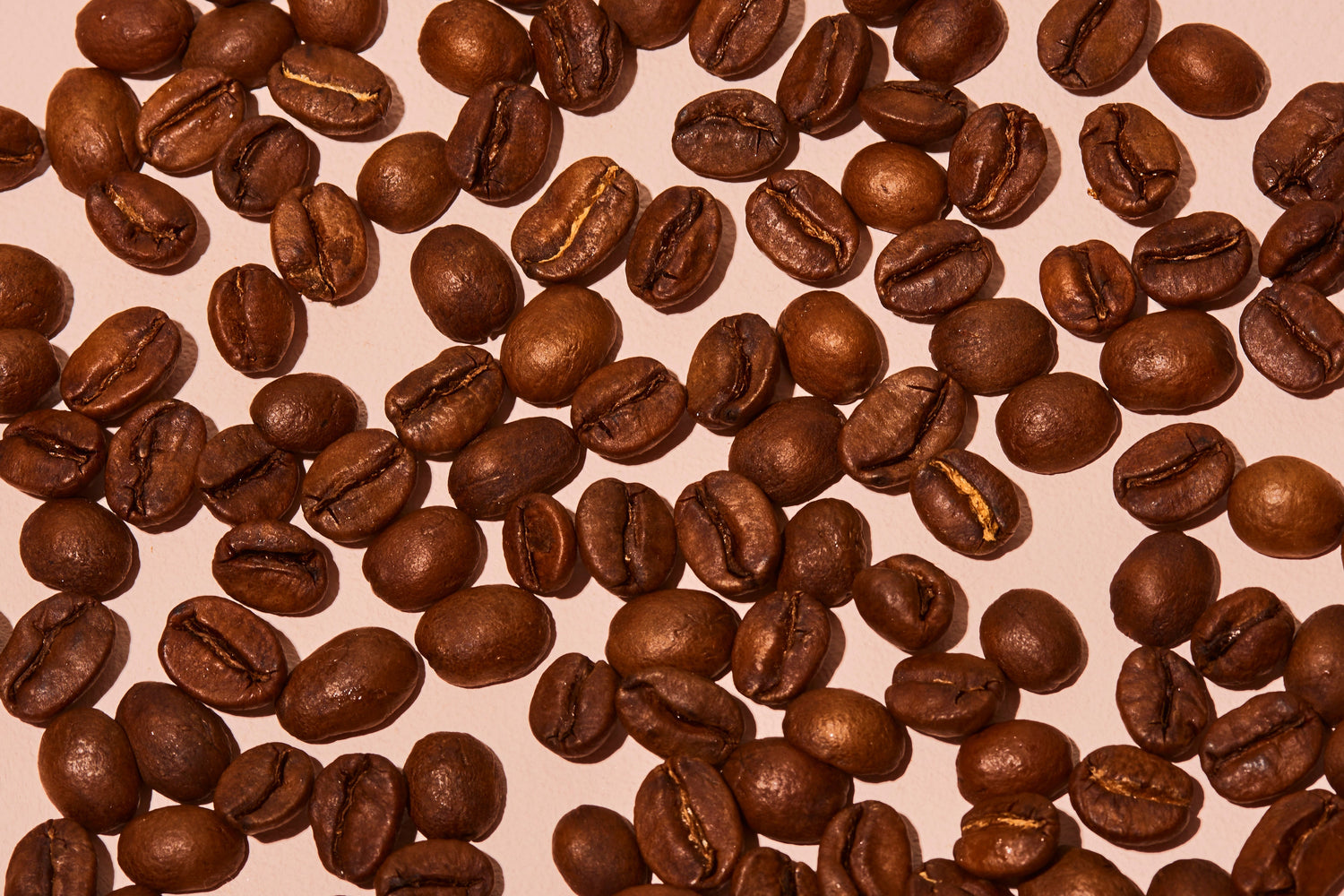 19grams Coffee Beans