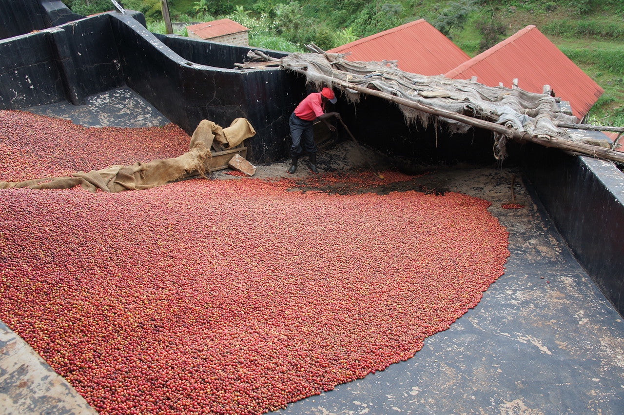 Filterkaffee aus Äthiopien