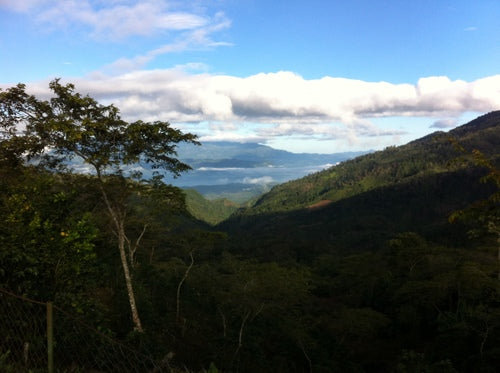 Kaffeefarm Panorama