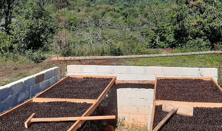 Finca_La_Estancia_Mexiko