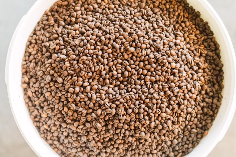 Aroma im Kaffee – wie Geruch und Geschmack entstehen