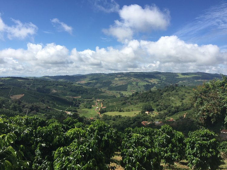 Brasilien - einer der größten Kaffeeproduzenten der Welt