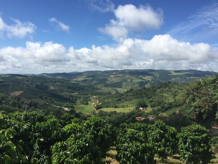 19grams_Brasilien_Espresso_Natural