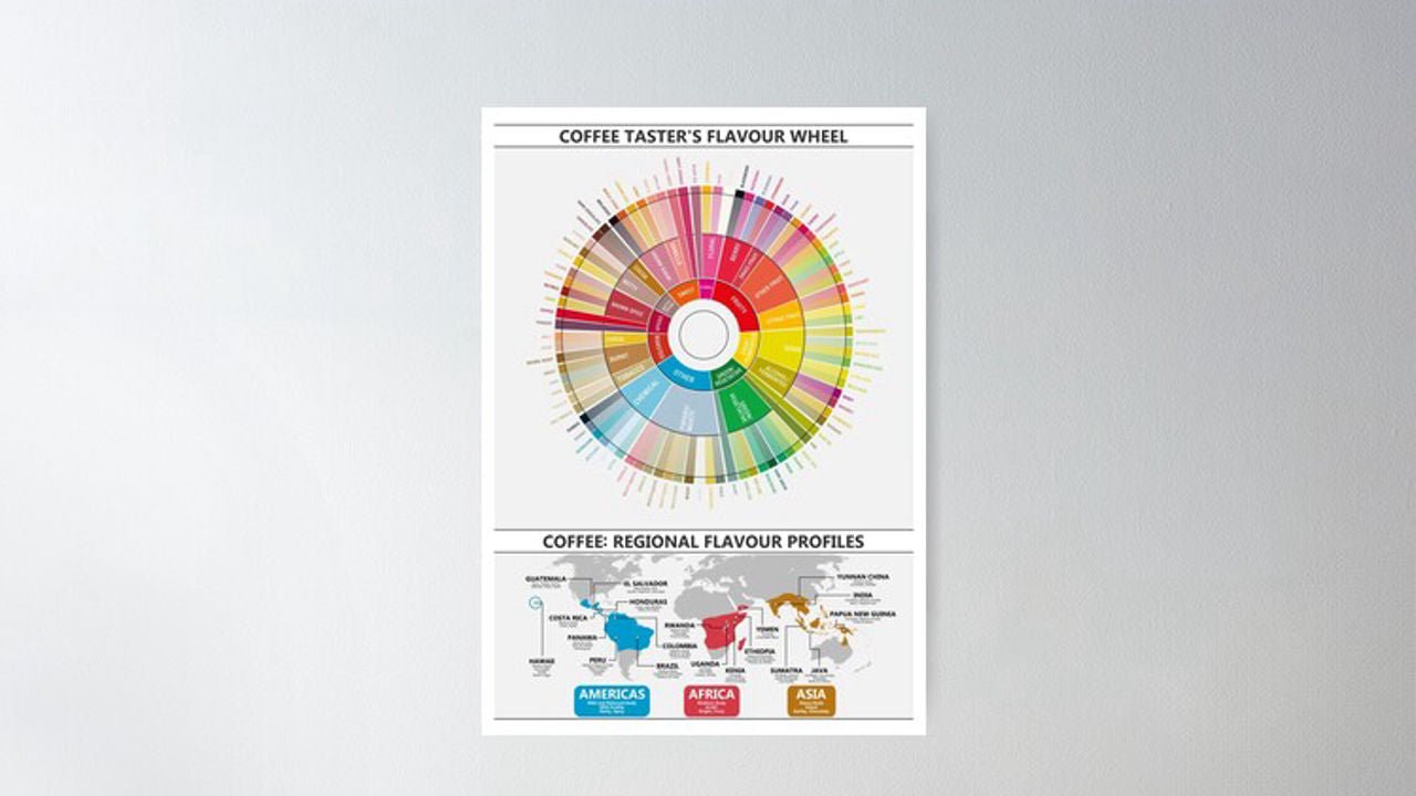 Coffee Flavour Wheel 19grams
