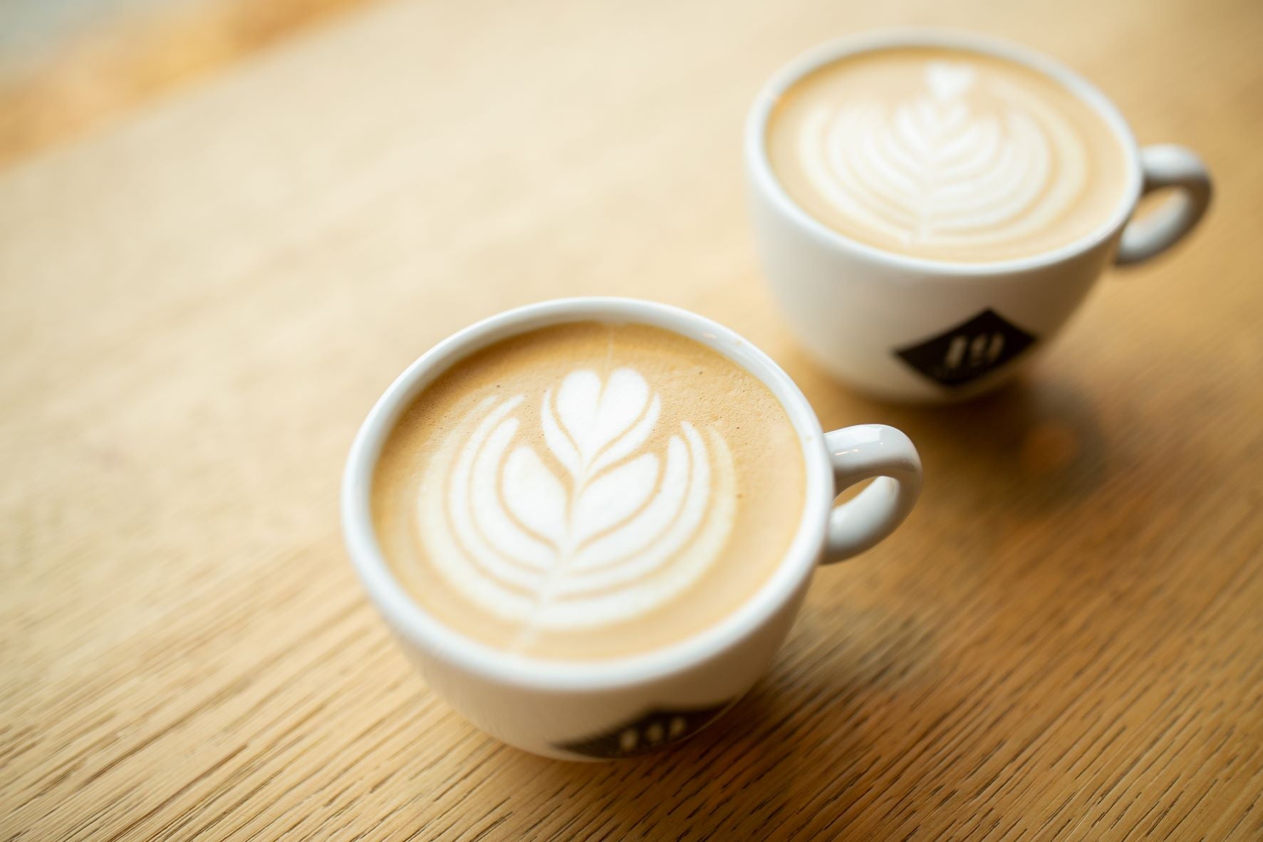 Alles über (Kuh-)Milchalternativen | 19grams Bloody Good Blog