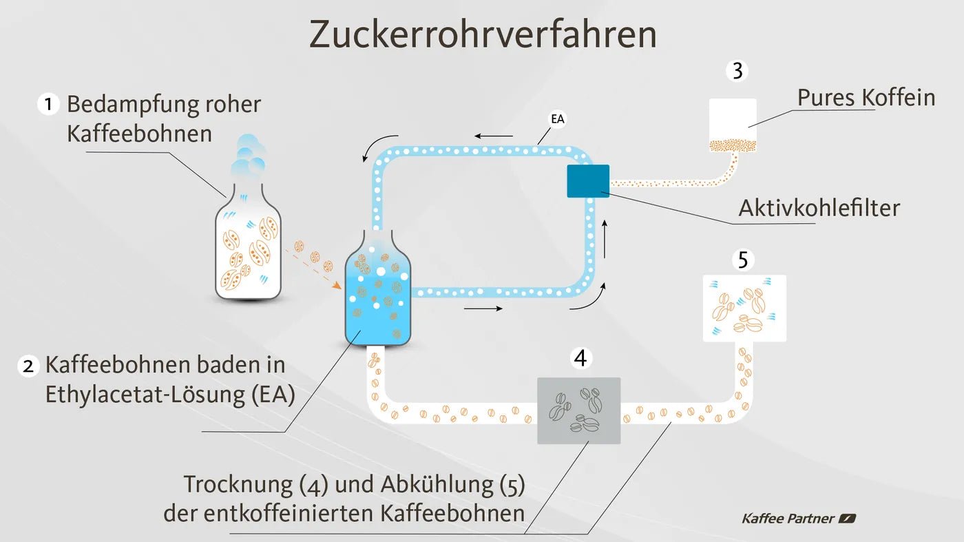 Entkoffeinierung von Kaffee
