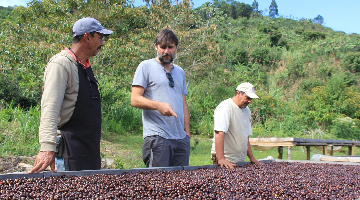 Finca La Chumeca | Kaffeeproduktion