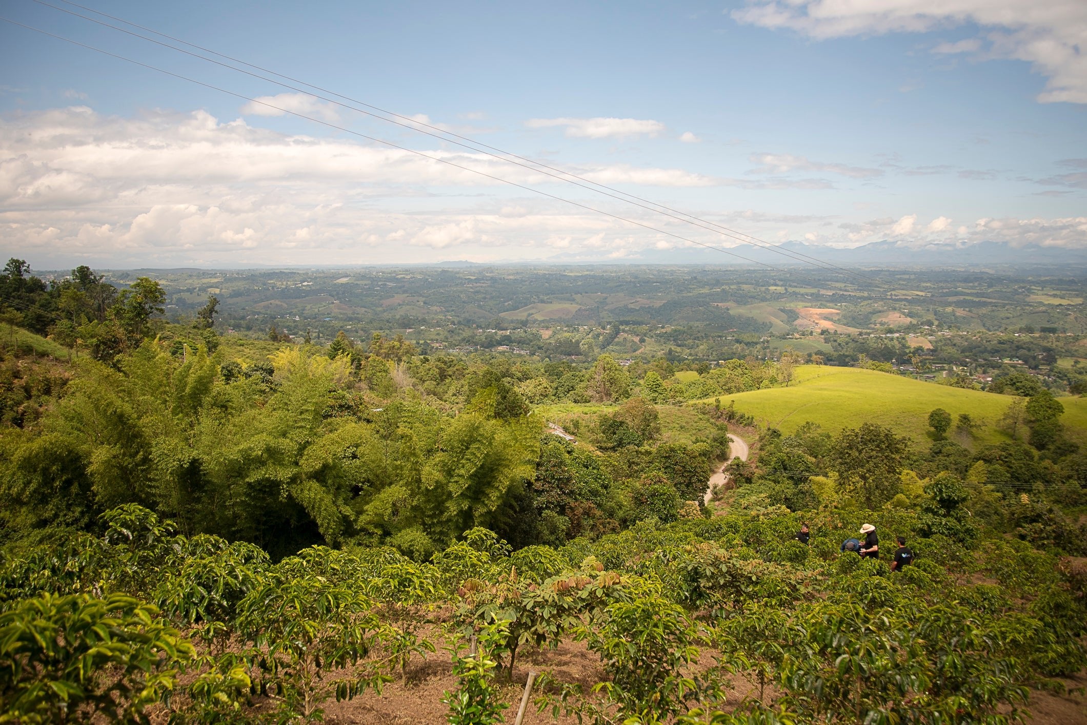 El Paraìso