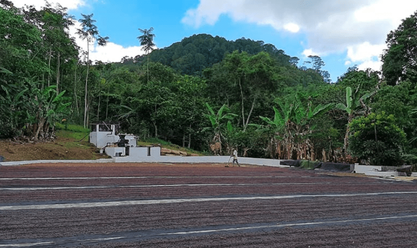 Finca La Estancia