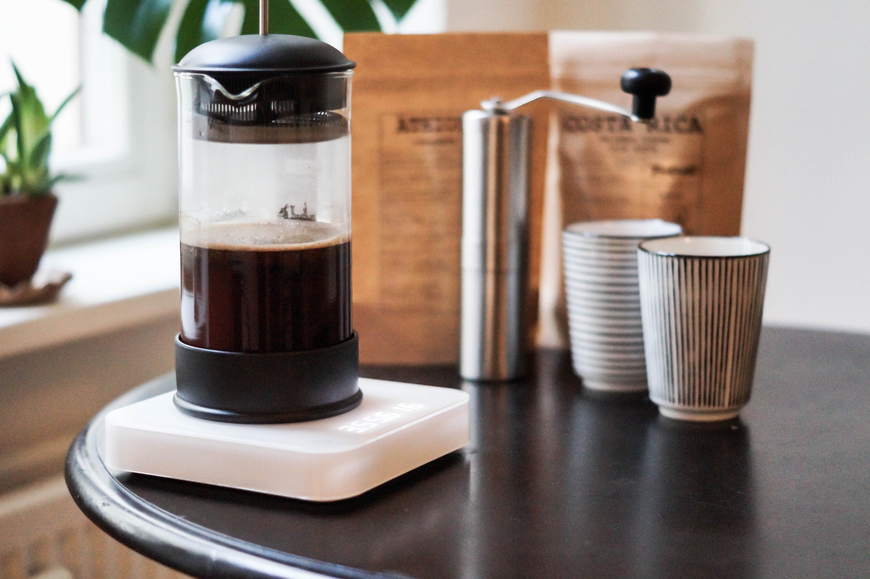 French Press Zubereitung: Schritt für Schritt Anleitung