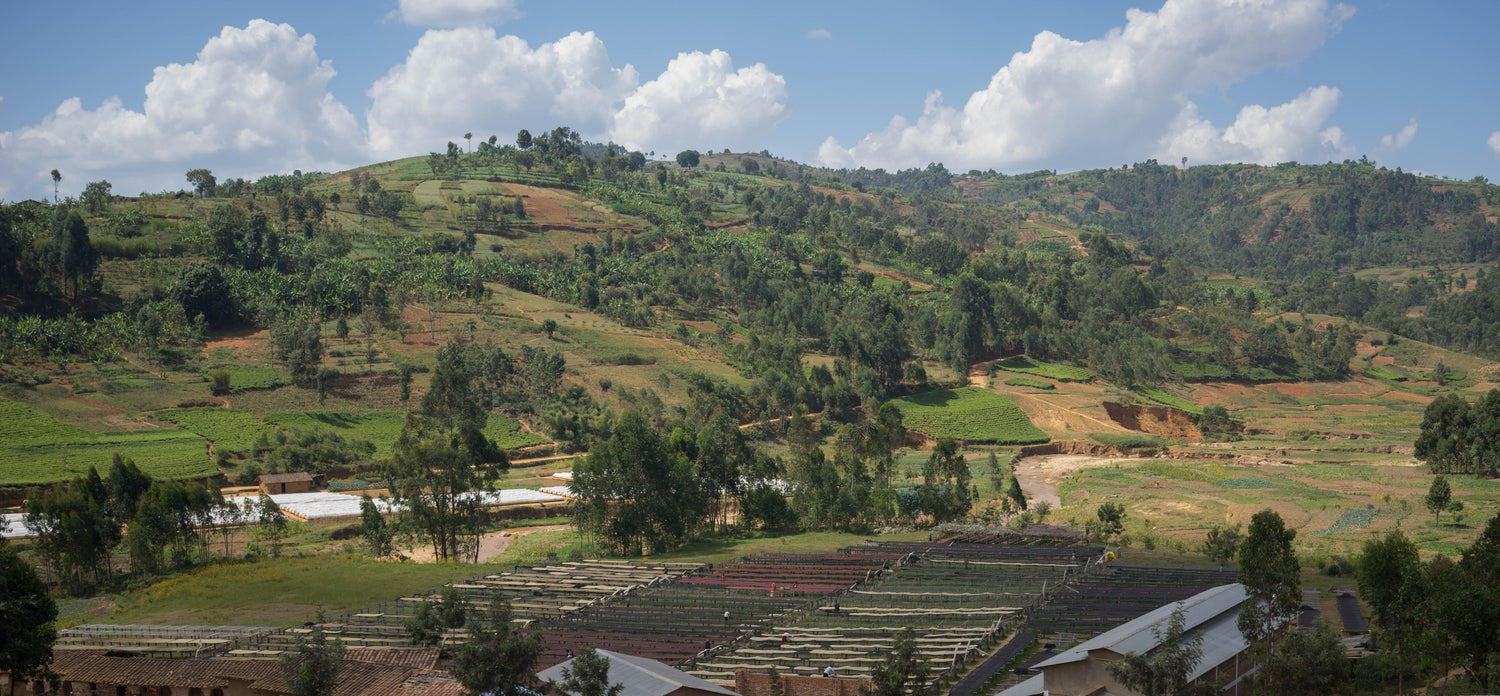 Kaffee aus Burundi