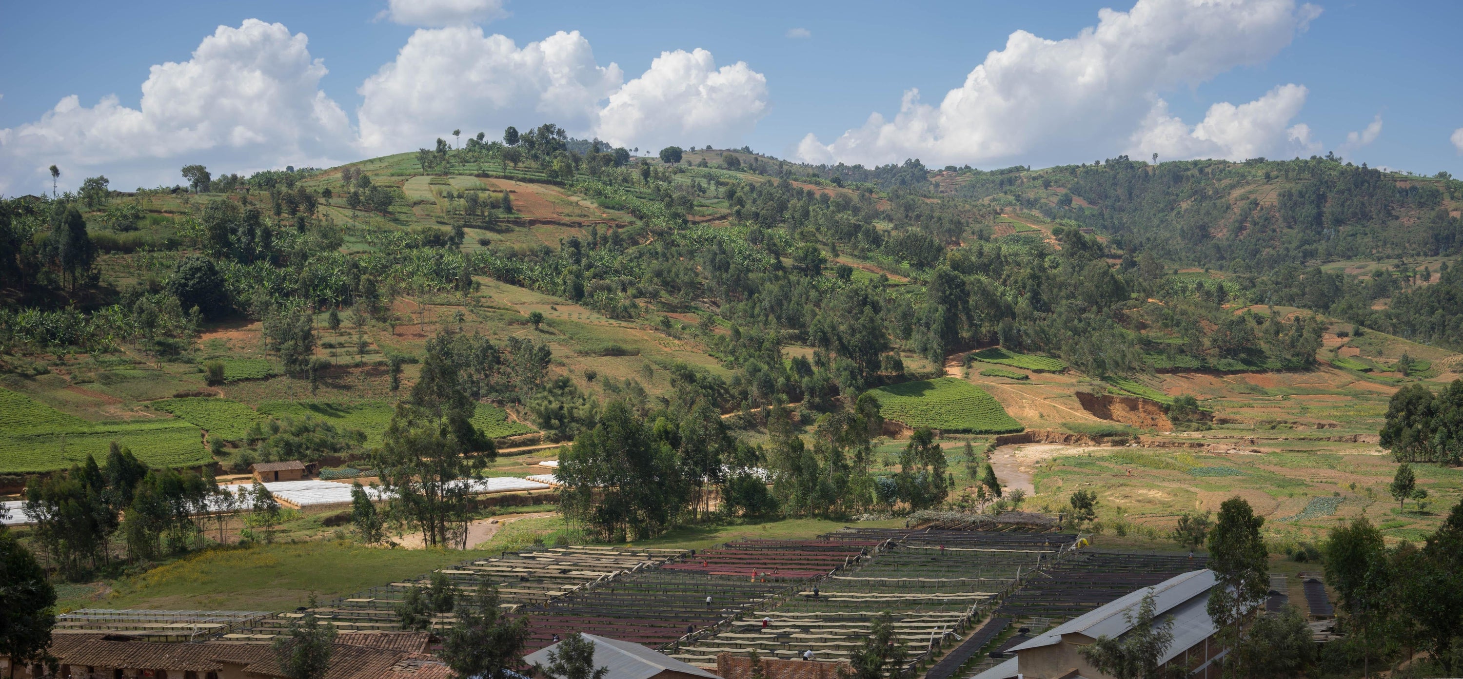 Kaffee aus Burundi