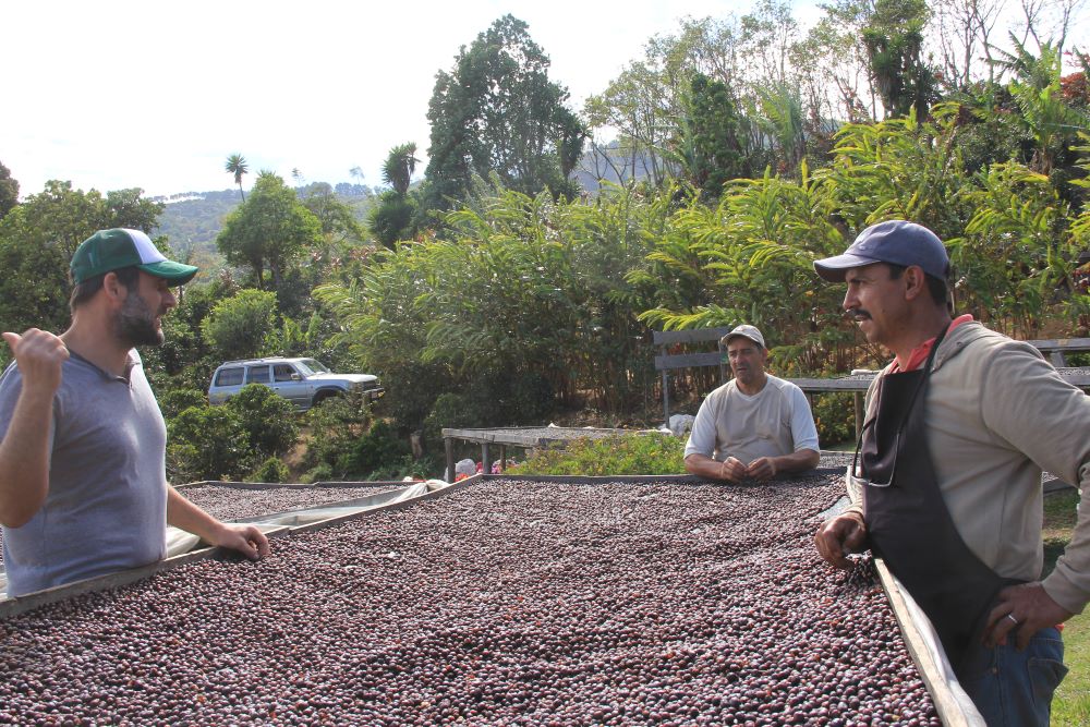 19grams coffee partner Don Martin dries La Chumeca beans