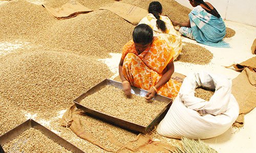 Indien: Little Flower Espresso ist zurück!