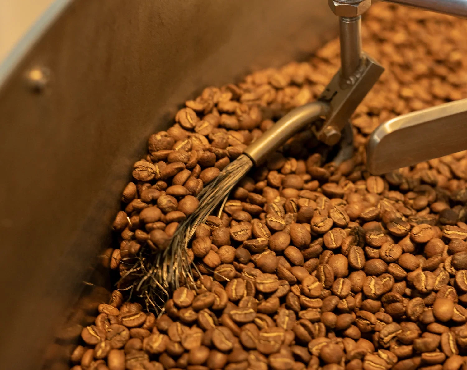 19grams_coffee_beans_roastery