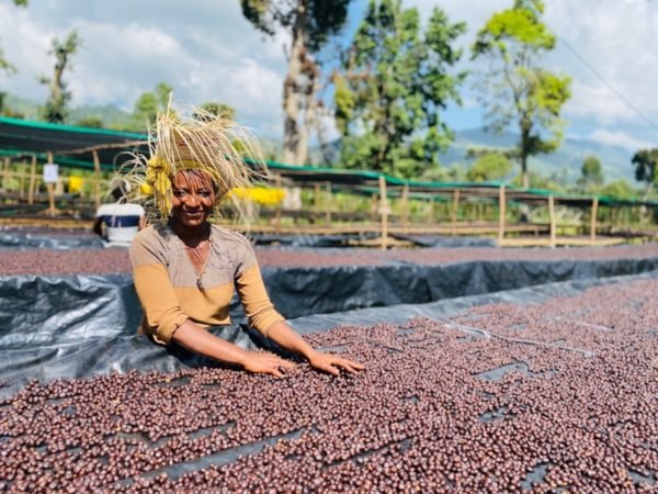 Shantawene | Gatta Farm