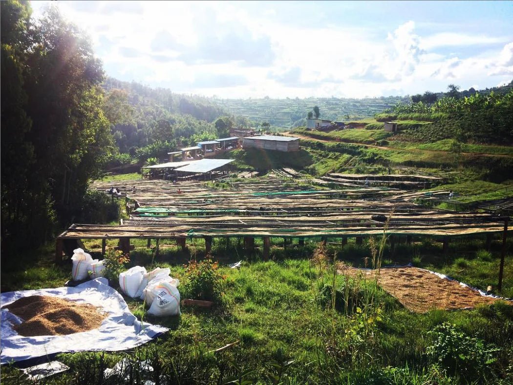 Simbi Washing Station