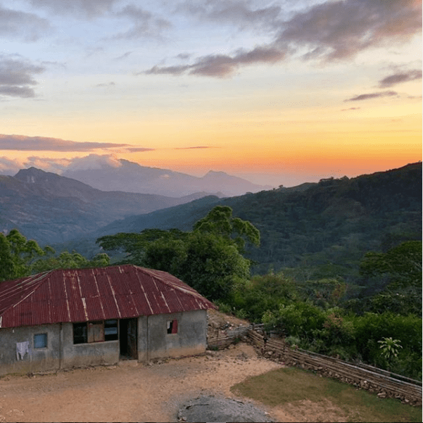19grams_Timor-Leste_Ermera_Coffee