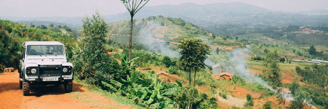 Kaffeeplantage Burundi