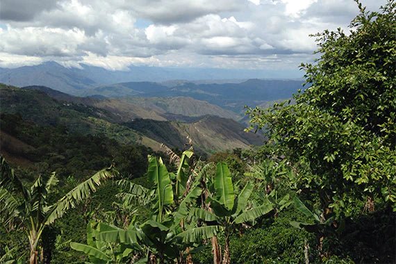 Llano Grande