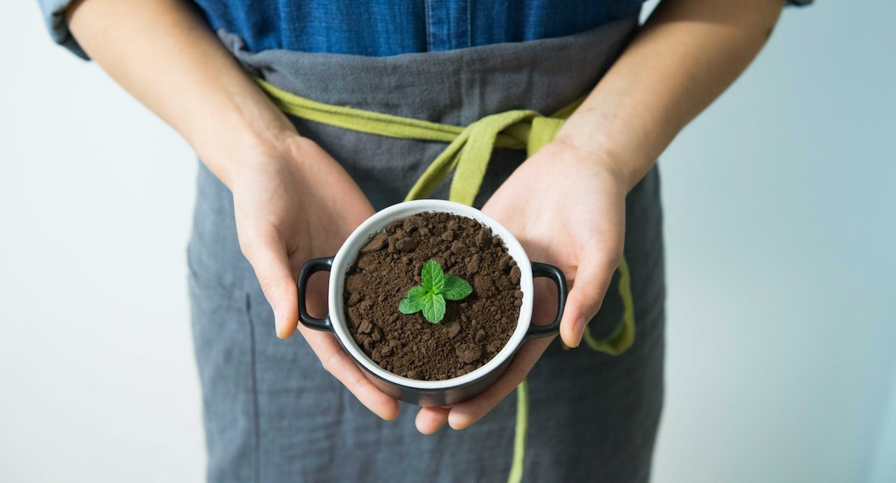 Was kannst du mit Kaffeesatz machen?