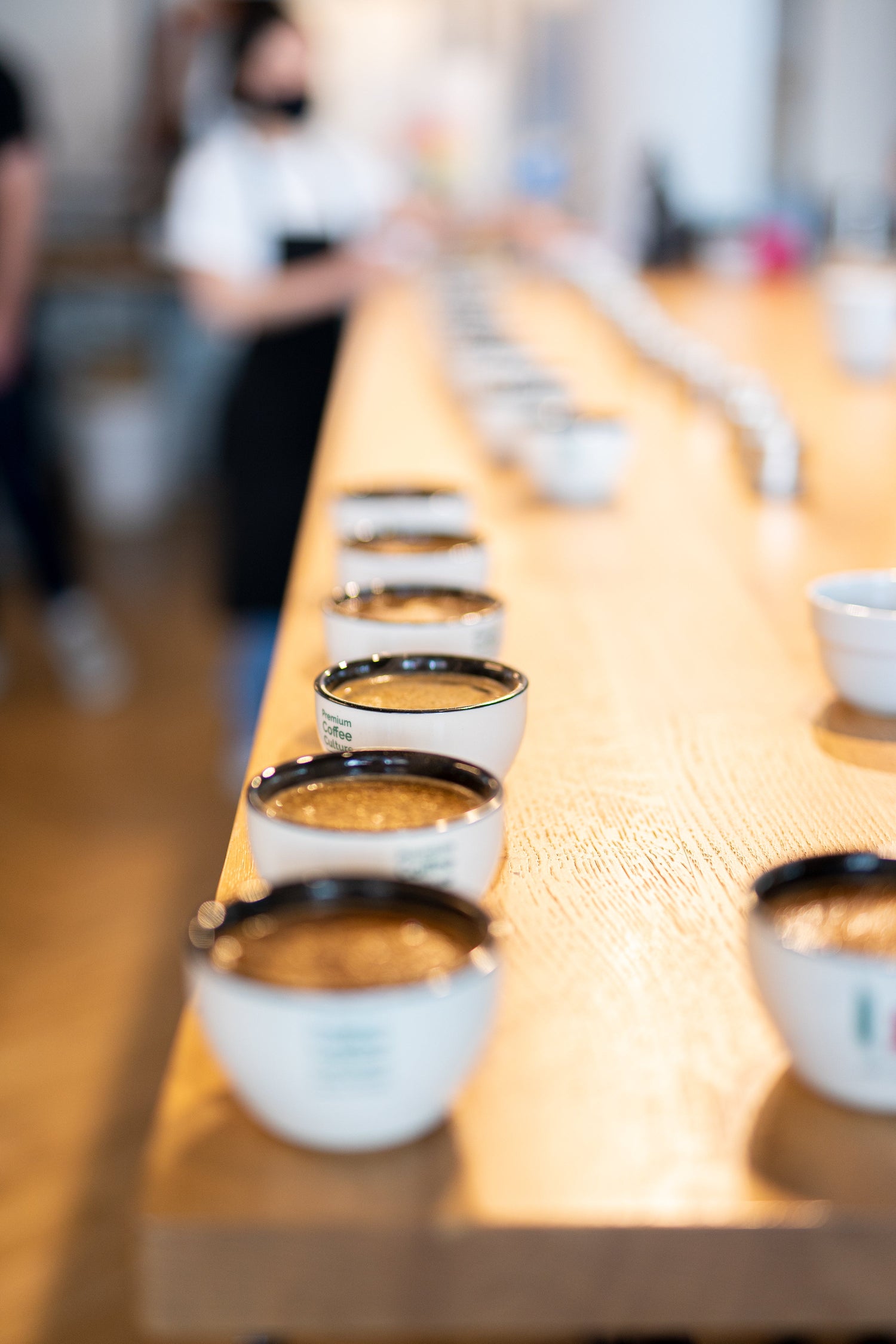 Kaffee Cupping - so finden wir neue, spannende Kaffeesorten