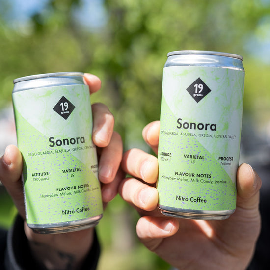 Nitro Brew Sonora L9