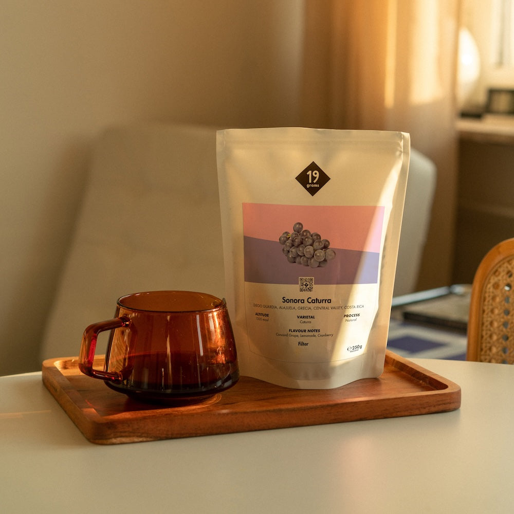 19grams Sonora Caturra Filter Mood-Shot – Kaffeebeutel und Glastasse mit Filterkaffee auf einem Holztablett im Abendlicht