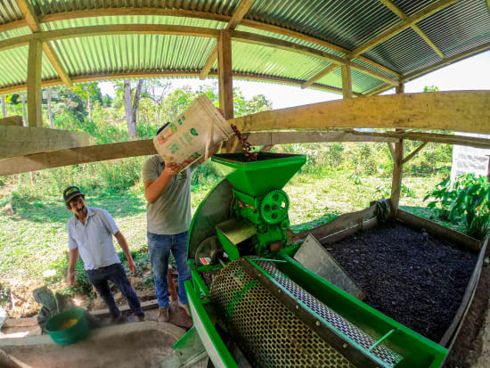 Kaffeebauern bei der Aufbereitung von Kaffeekirschen mit einer Entpulpungsmaschine auf der Farm von Gilmer Cordova in Peru