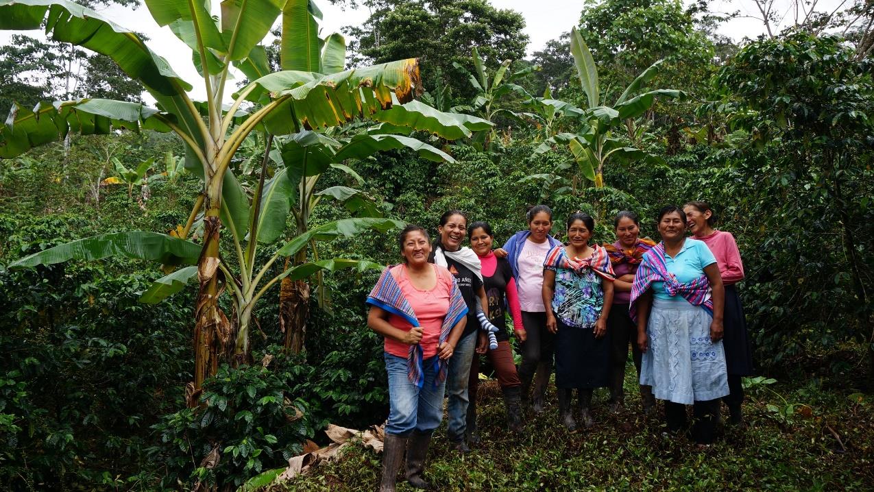 La Esperanza - Peru Filter Farmarbeiter