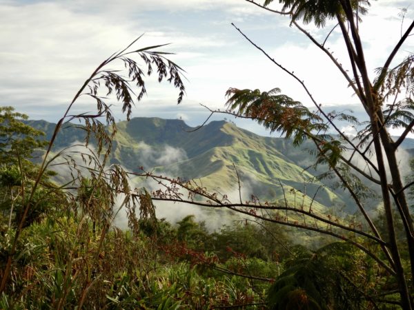 19grams Eastern Highlands in Papua-Neuguinea