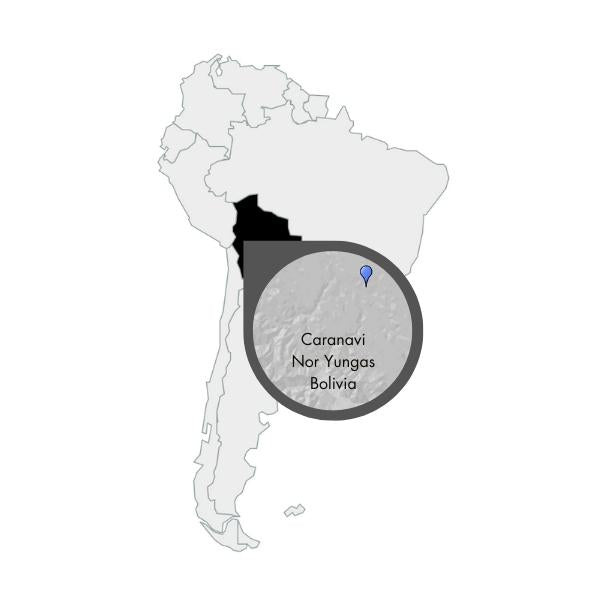 Map 4Llamas Bolivien