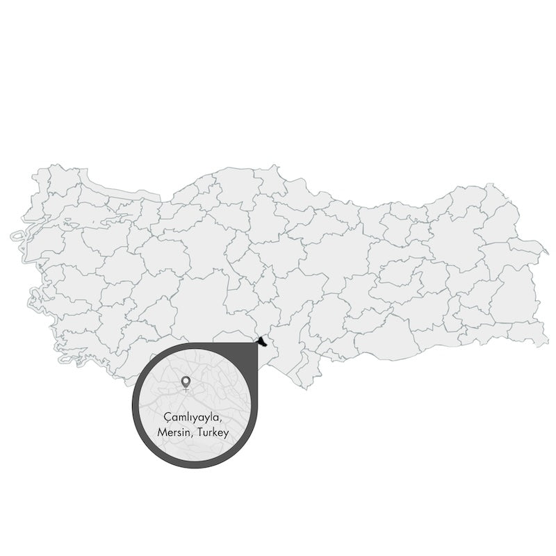 Karte von der Türkei mit Vergrößerung von Mersin