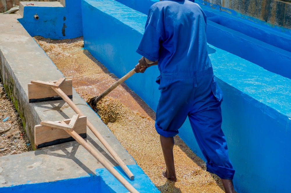 Washing Process