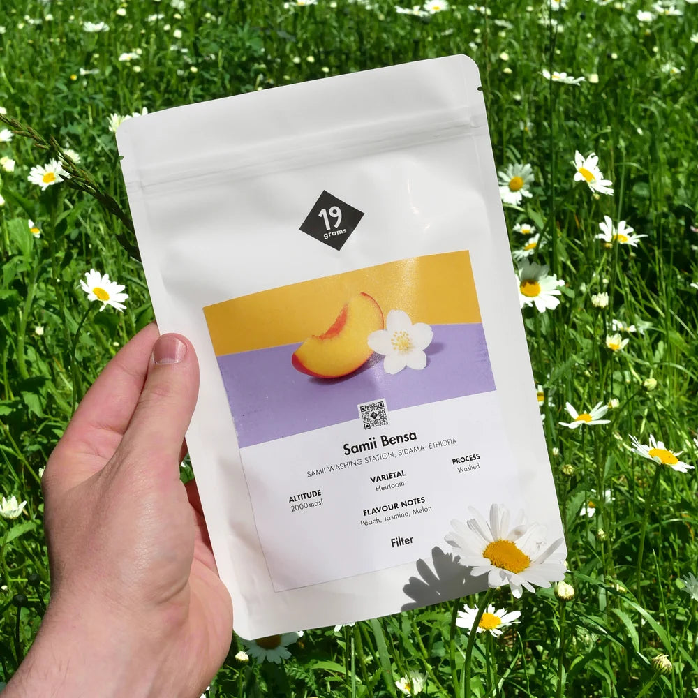 19grams Samii Bensa Filterkaffee in der Hand präsentiert auf einer schönen Wiese
