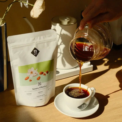 19grams Sonora Villalobos Single Origin Filter Coffee - Hand-Pour Over Zubereitung im natürlichen Sonnenlicht für optimales Aroma