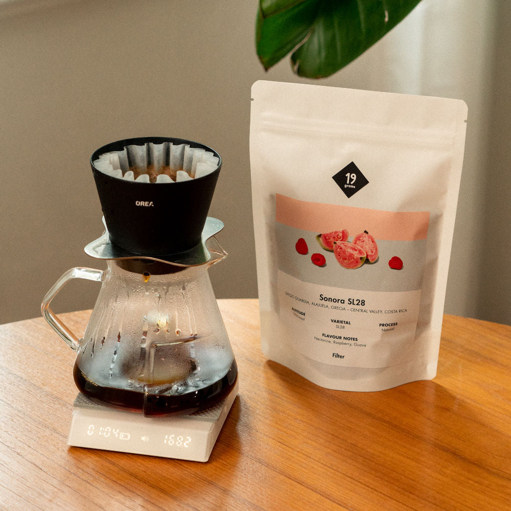 Sonora Sl28 Filter Kaffee mit frisch gebrühtem Kaffee