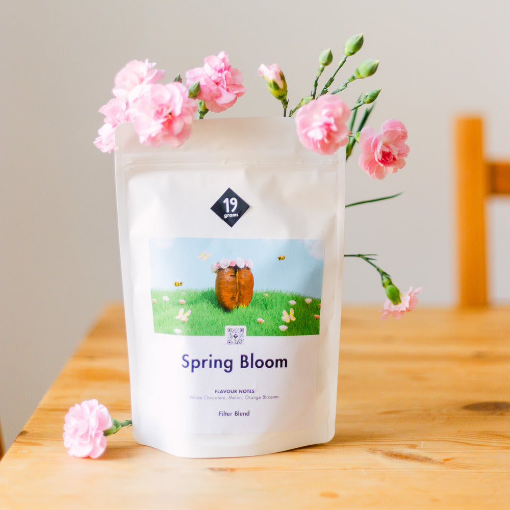 Deine 250g Tüte 19grams Spring Bloom